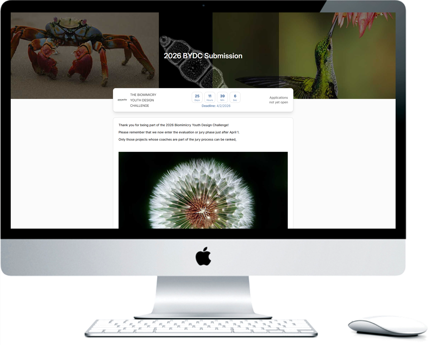 Biomimicry Youth Design Challenge